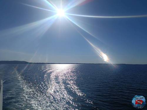 IMG_20230420_172245.jpg