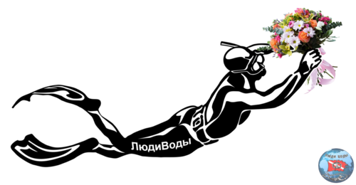 16.png