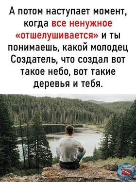 IMG-20240801-WA0131.jpg