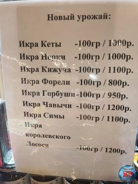 IMG-20241011-WA0031.jpg