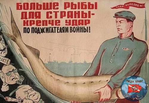TMBv7ipzkAw.jpg