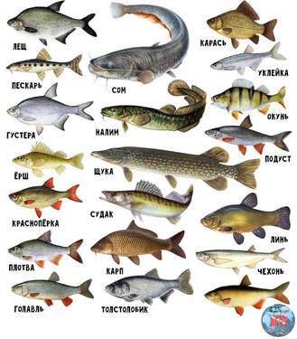 img-20230518-140952_large.jpg