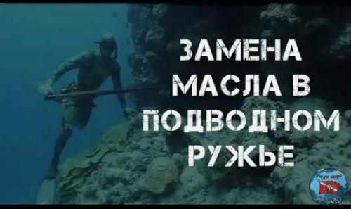 Screenshot_20250216-025257 (1).png