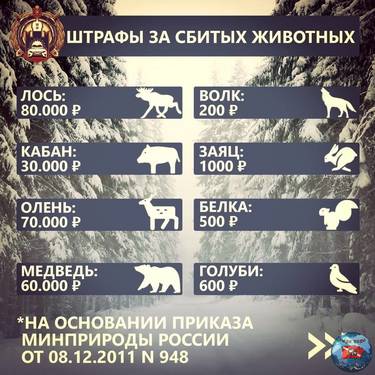5z7ak5JyciBHeOxfO3cvCMt0JzHC5I5XyoNLJLsKkY0WegitreR4al-y86KH16YKVscOUMkshbj0Bwlgf6EpeJGR.jpg