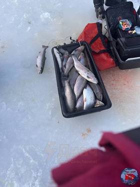 IMG_20250202_210021_139.jpg