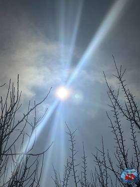 8FF7B676-BBCA-4169-A9D6-4764A83EAECC.jpeg