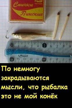 IMG_20250303_154844_670.jpg