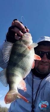 IMG_20250317_162144_539.jpg