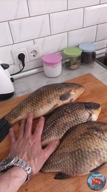 IMG-20250424-WA0008.jpeg