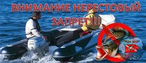 IMG_20250425_034833_877.jpg