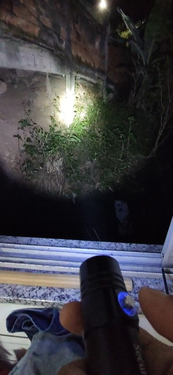 image.thumb.png.06792c96a74a1627b6e1033885605900.png