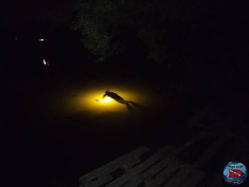 IMG-20250528-WA0006(1).jpg