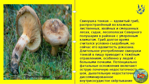 image.thumb.png.0bc86eb3a227fc3a1af26a004196cd09.png