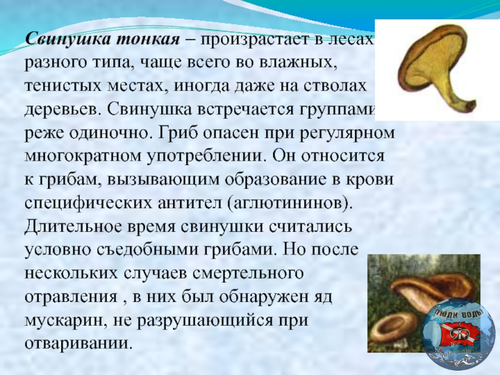 image.thumb.png.5d15fa0d0bcee9df4d6b44f91c1a5fdc.png