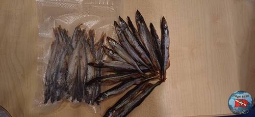 IMG-20250714-WA0054.jpg