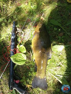 IMG_20250713_131130.jpg