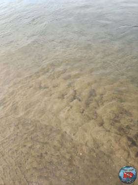IMG-20251013-WA0005.thumb.jpg.1853f74433e5d3866aadf0faaf7cca1f.jpg