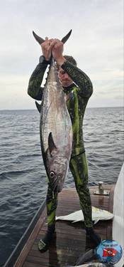 IMG-20251028-WA0000.thumb.jpg.76fd7363657292195637eb426d28e786.jpg