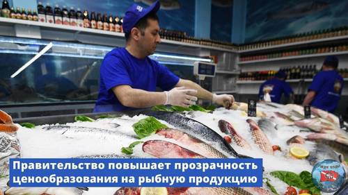 Vx8kMwGrY_U.jpg