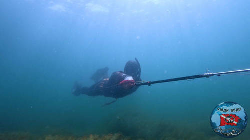 polespear-and-hunter.thumb.jpg.993f33c36164590ba42c800a36acd665.jpg