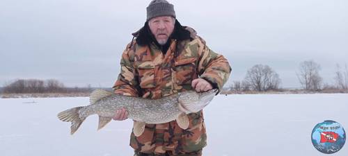 IMG_20251216_085242.jpg