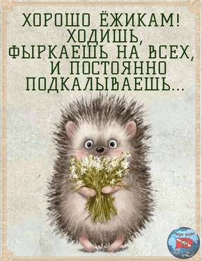IMG_20240605_162245_407.jpg