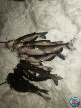 IMG_20260105_015723_072.jpg