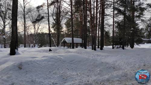 IMG_20260222_175859_203.jpg