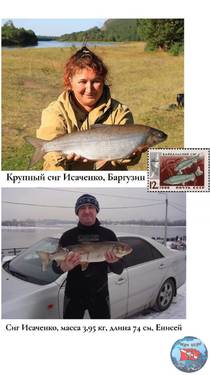 IMG-20260411-WA0003.jpg