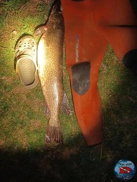 IMG_20260402_204609_808.jpg