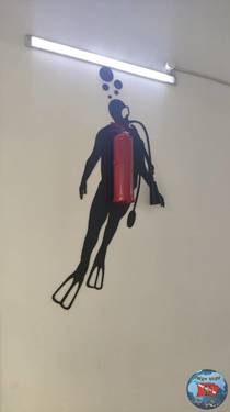 IMG-20260526-WA0000.thumb.jpg.249d4263100cc4ea23ed6d3d01cf4895.jpg