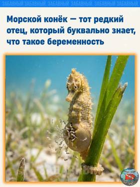 IMG-20260526-WA0007.thumb.jpg.e00e02b0d81c770696db857a363cd4d1.jpg