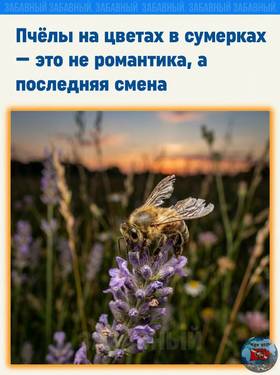 hlA_qbSjv13kO10NbEBJX-ux9QqaAR-xCNfkJZCZfcyBt5m-MyXNWyuJsN2MvaFjxGlZ8zvOXPjH3C3TLI7jDXgI.thumb.jpg.05aa24b63dcac0dc4fdc1c91eabc858e.jpg