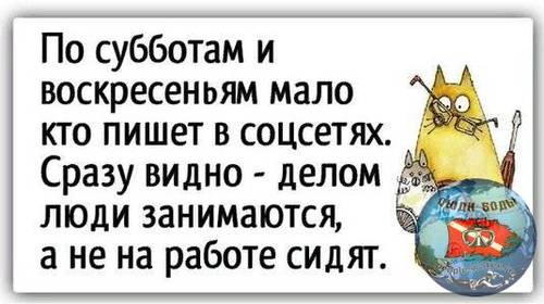 2033369-1b8eef4a105e6dca5e53787153b07a1d.jpg