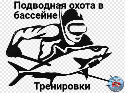63NTpUni-Vg.thumb.jpg.adfe12527330ae3dadff1e565e102a2a.jpg