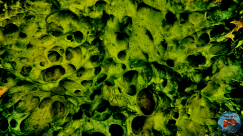 161166301_Timeline1_01_06_04_03.thumb.png.398270ab08e2b6e0d07b50e871497a71.png
