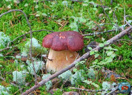 IMG-20260822-WA0005.jpg