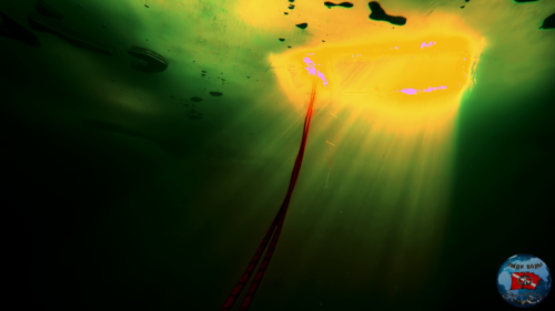 vlcsnap-2026-08-18-15h08m57s627.thumb.png.0d2891c784157b2b9d29d6b02196f4df.png