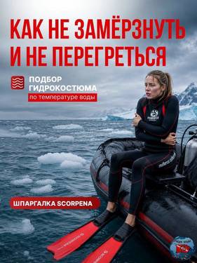 IMG-20260919-WA0006.thumb.jpg.baad24f34fb47af86bebd41b728d6895.jpg