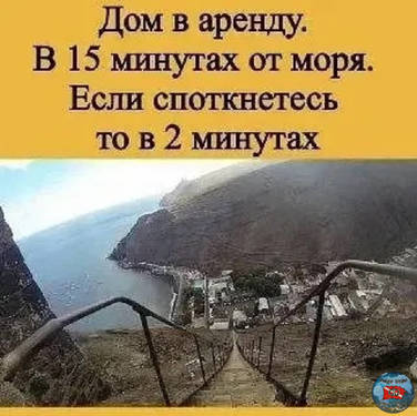 IMG_1981.thumb.jpeg.d8a8cca99b1e8537927f1d971365b366.jpeg