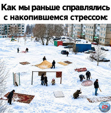 IMG_2238.thumb.jpeg.2bcfbe26d35cfcf5496b903dbaaab277.jpeg