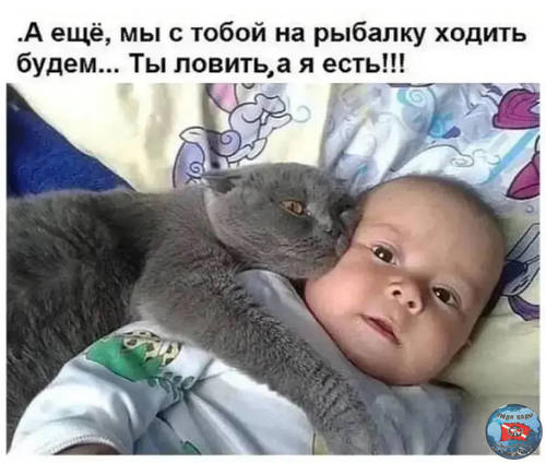 IMG_2397.thumb.jpeg.71b30a42837f250fc316966ef3bfcbba.jpeg