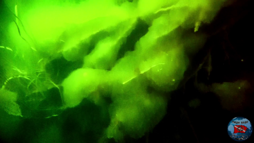 vlcsnap-2026-09-05-22h17m07s697.thumb.png.1ff10e4e08d11ba16c40bfaad9f80271.png