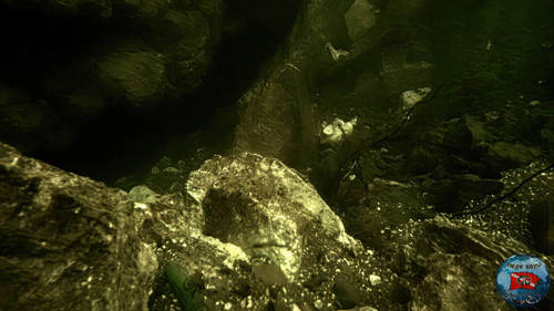11vlcsnap-2026-10-04-17h35m19s314.thumb.jpg.030030f4941d5d29abc84c4321c367ae.jpg